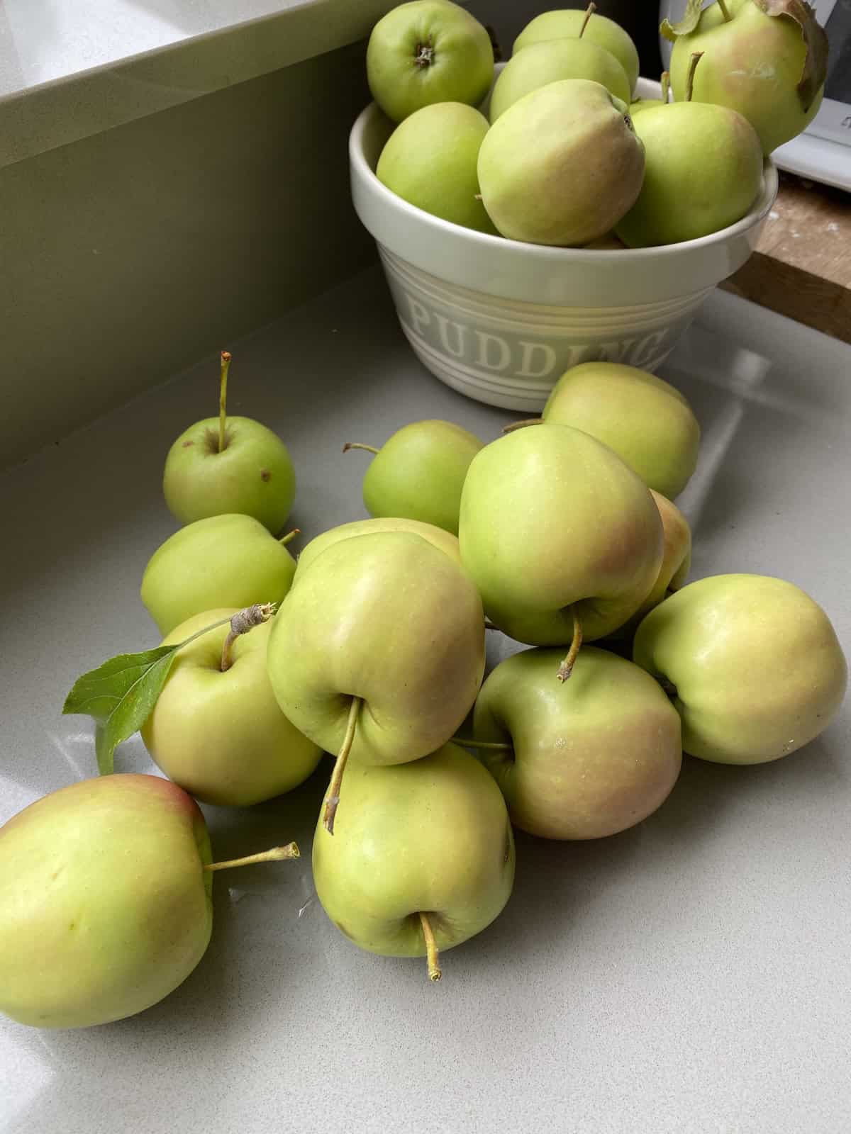 Vacuum-sealed frozen food in a freezer drawer for long-term storage.