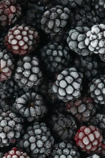 Frozen Blackberries