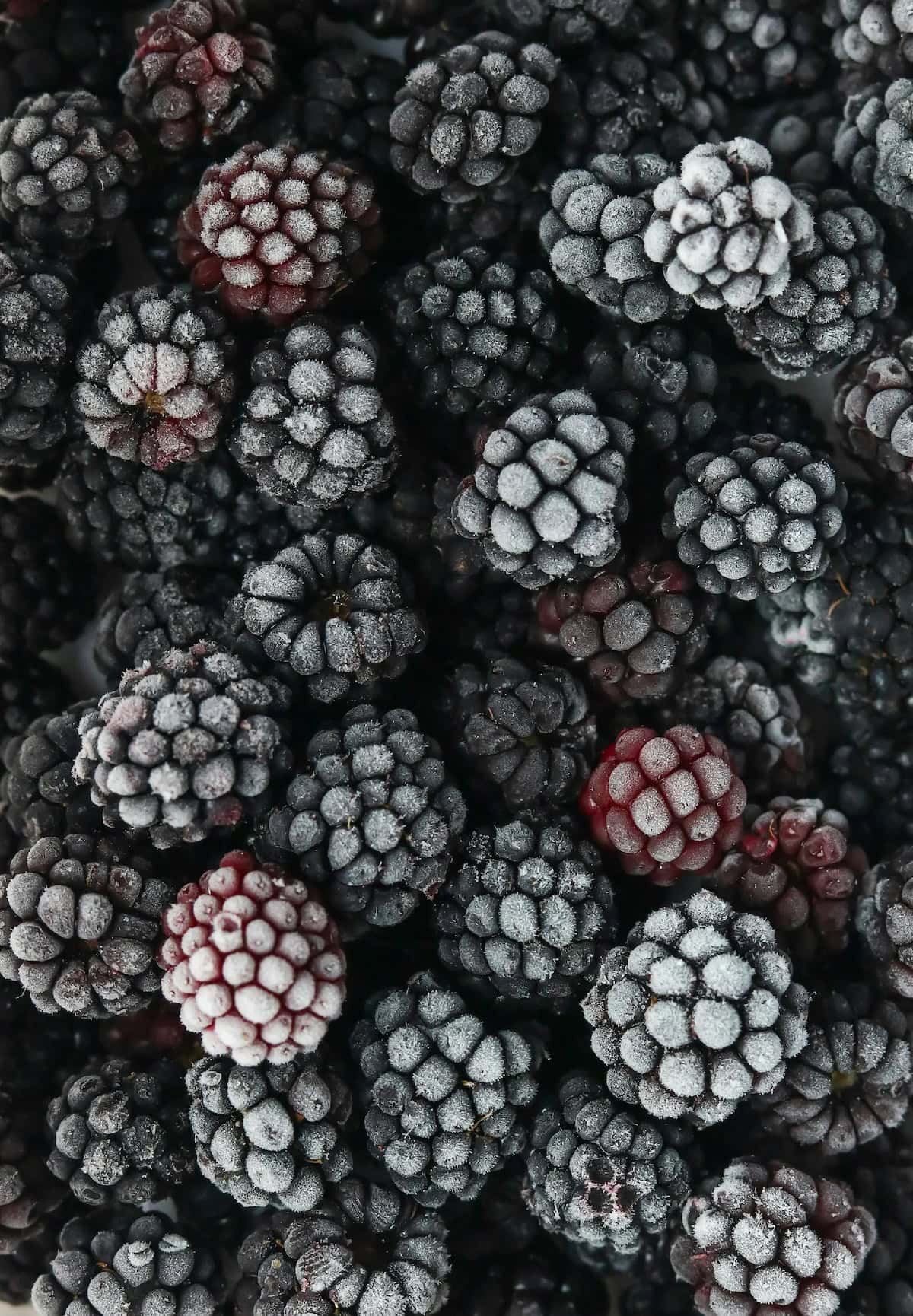 close-up of frozen blackberries Frozen Blackberries.