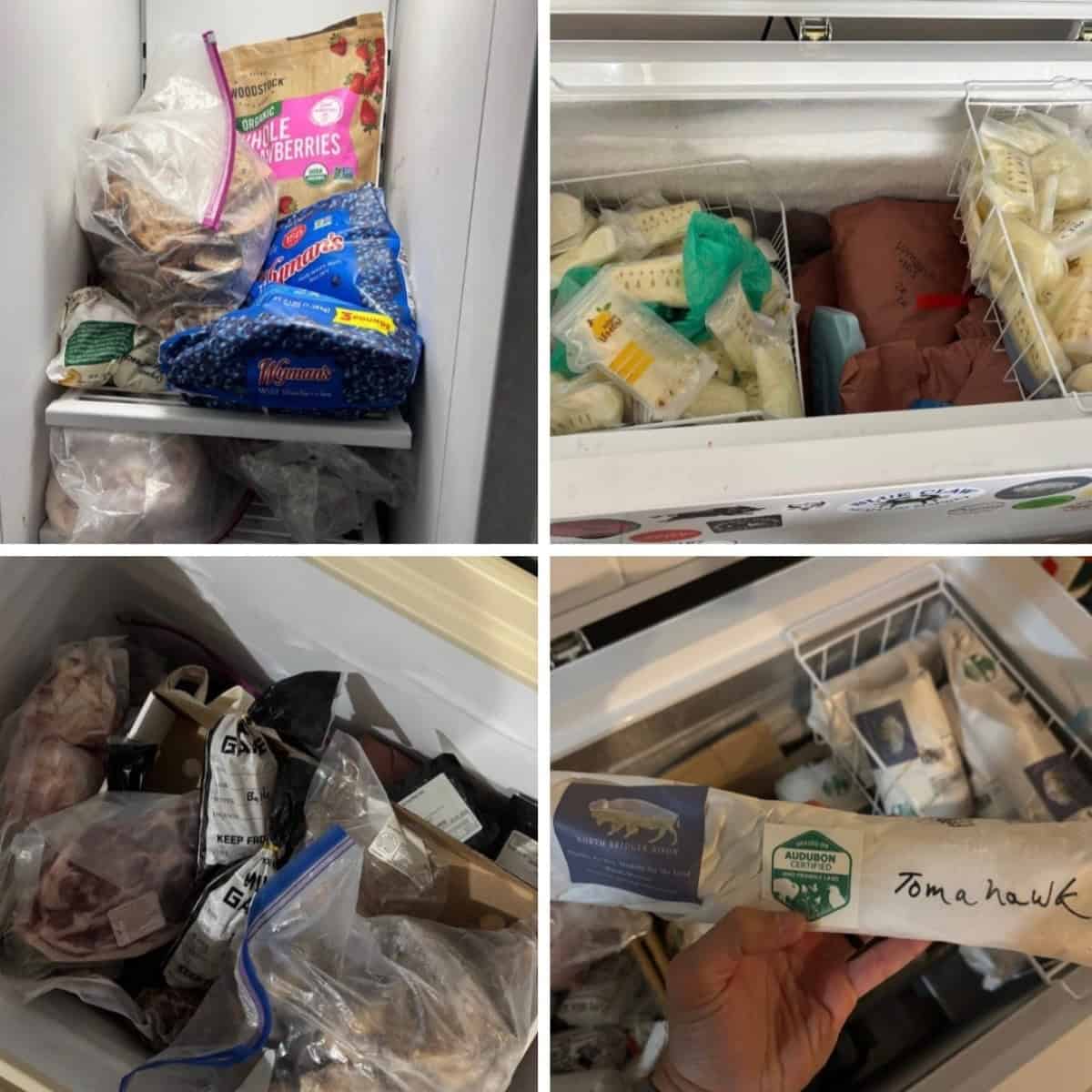 Chest freezers and their contents.