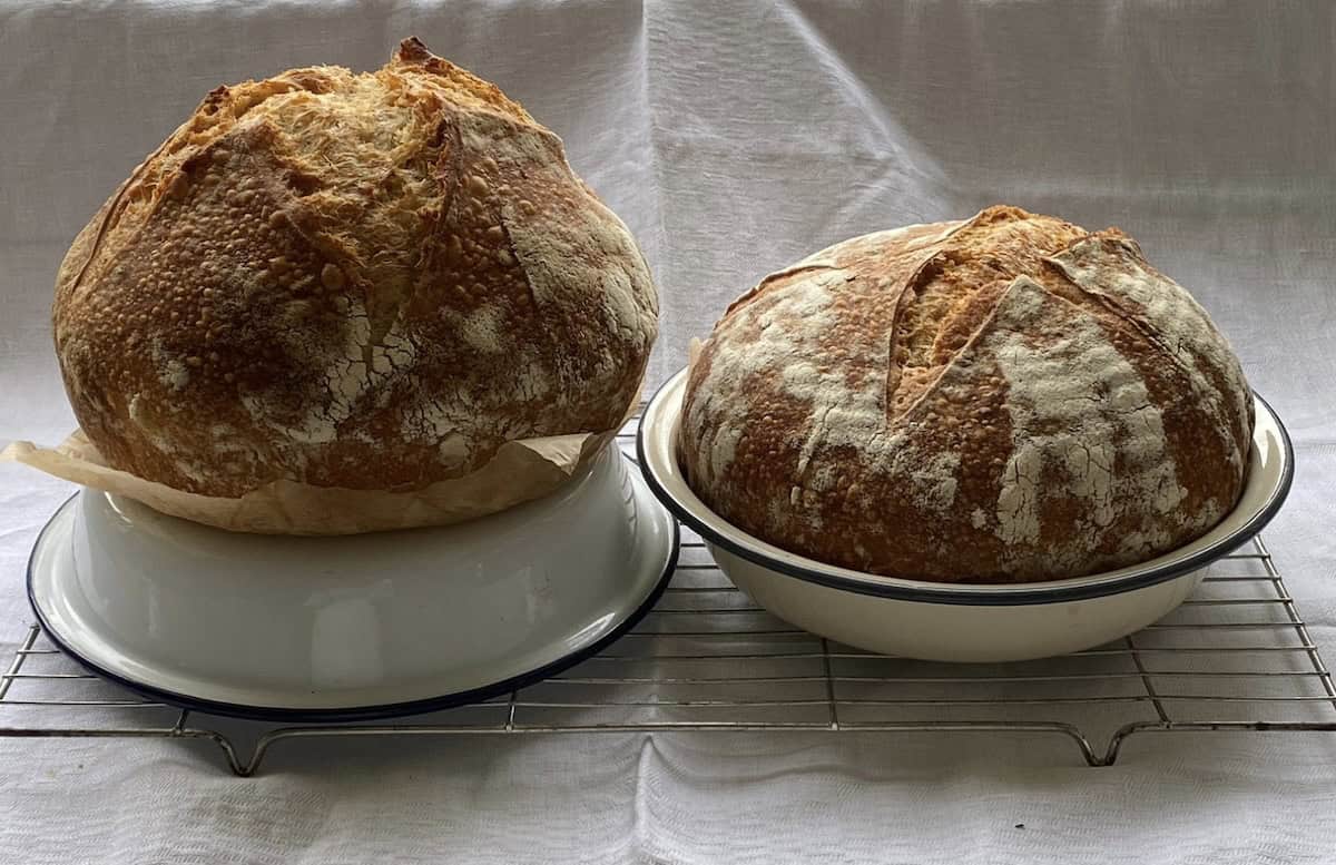 2 sourdough loaves. Two sourdough loaves in baking tins.