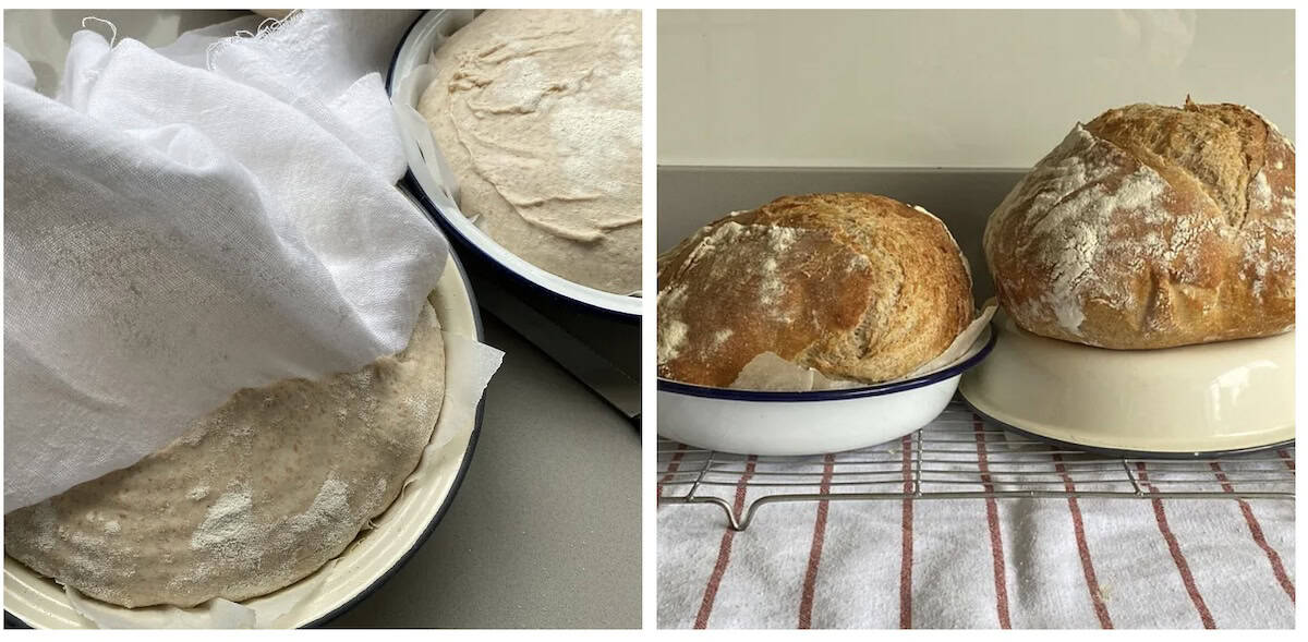 Sourdough loaves in pie tins.